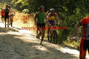 25308 photo